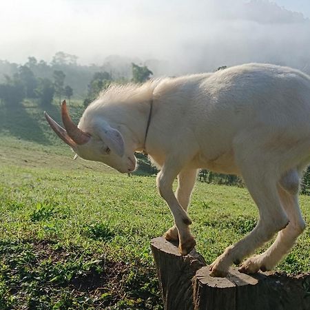 ไร่นิธิสุนทร Nithisoonthon Farmstay Mae Hong Son Eksteriør billede