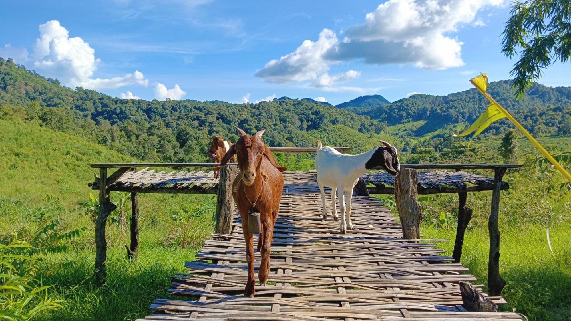 ไร่นิธิสุนทร Nithisoonthon Farmstay Mae Hong Son Eksteriør billede