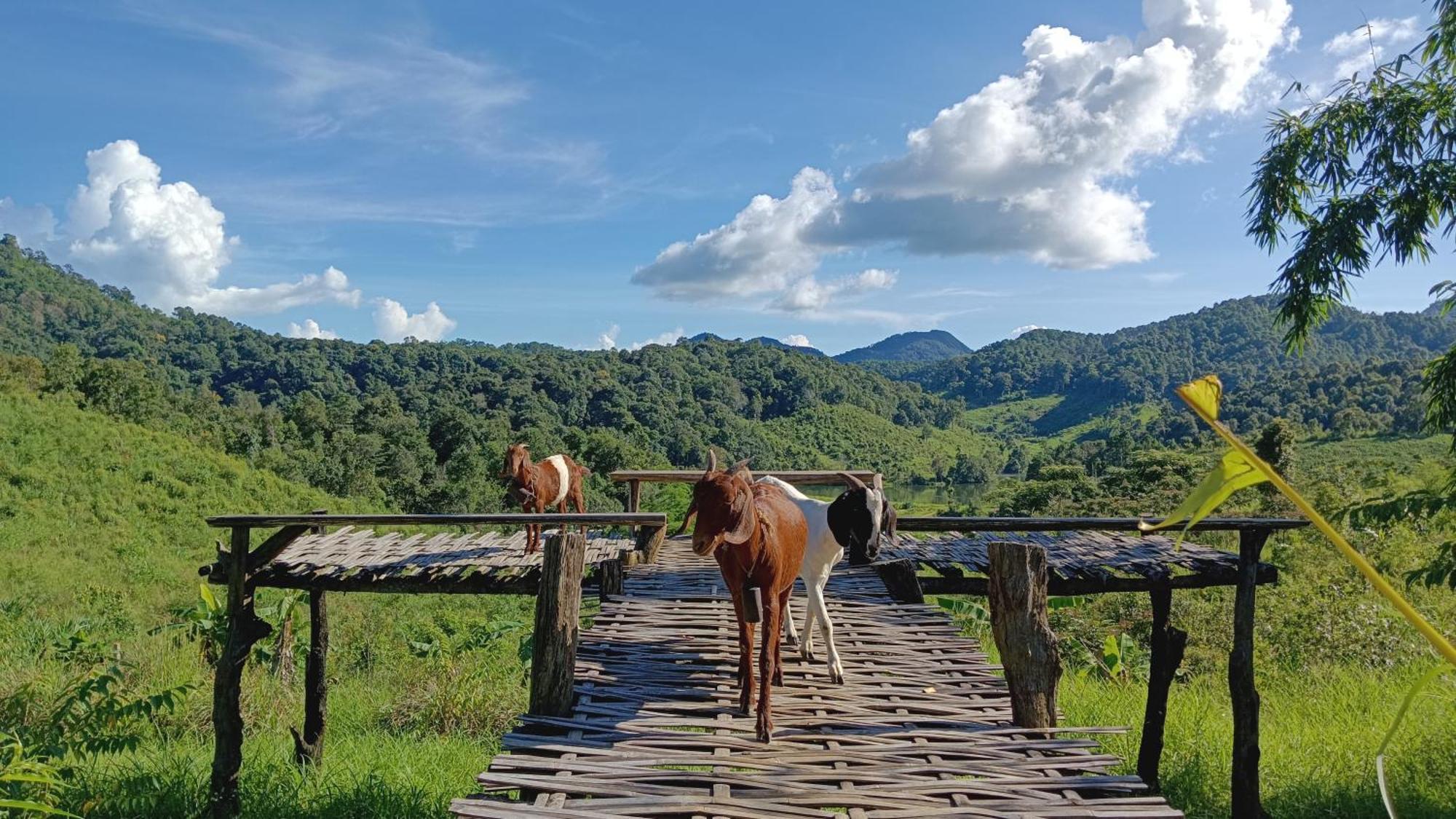 ไร่นิธิสุนทร Nithisoonthon Farmstay Mae Hong Son Eksteriør billede