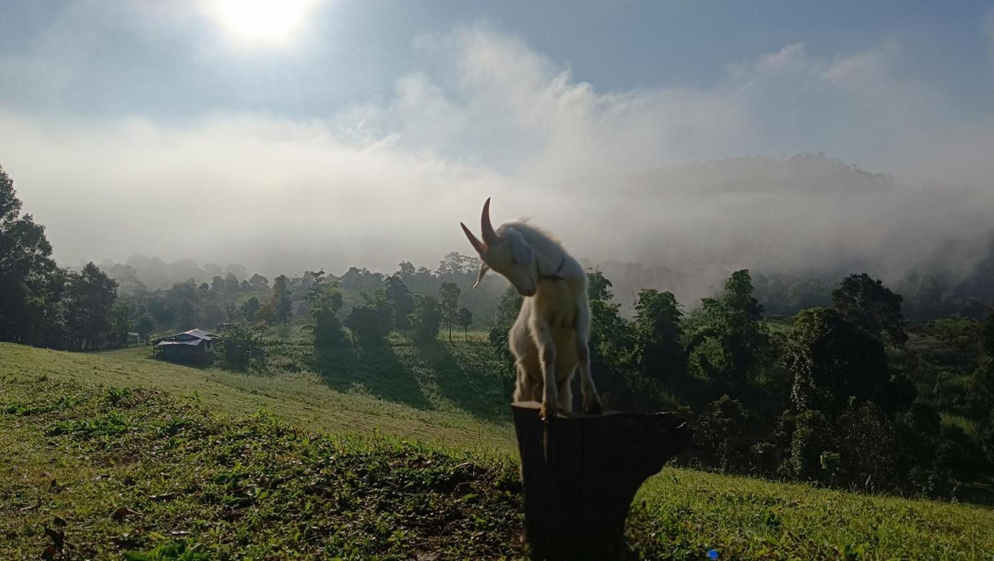 ไร่นิธิสุนทร Nithisoonthon Farmstay Mae Hong Son Eksteriør billede