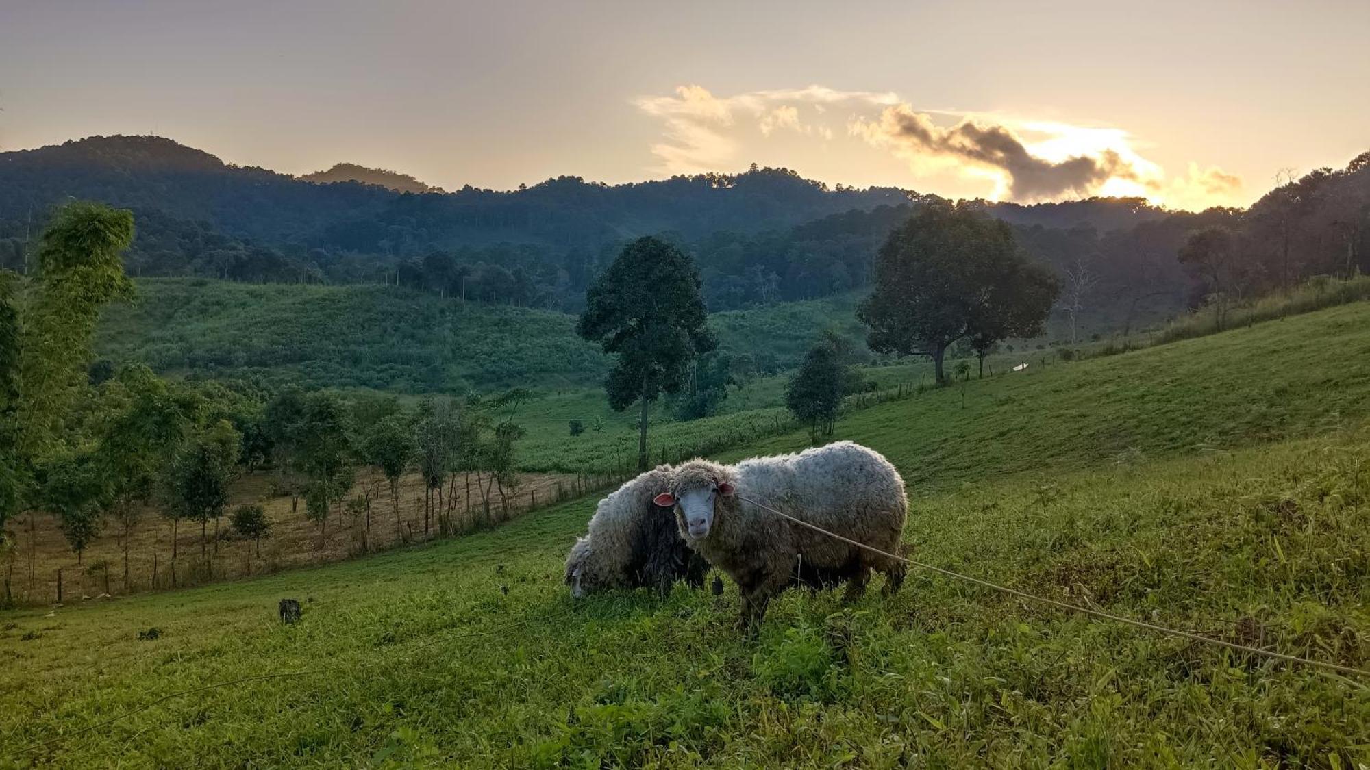 ไร่นิธิสุนทร Nithisoonthon Farmstay Mae Hong Son Eksteriør billede